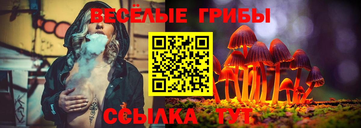 Галлюциногенные грибы Psilocybe  Галлюциногенные грибы Cubensis  Вход с VPN  как найти   Арсеньев 